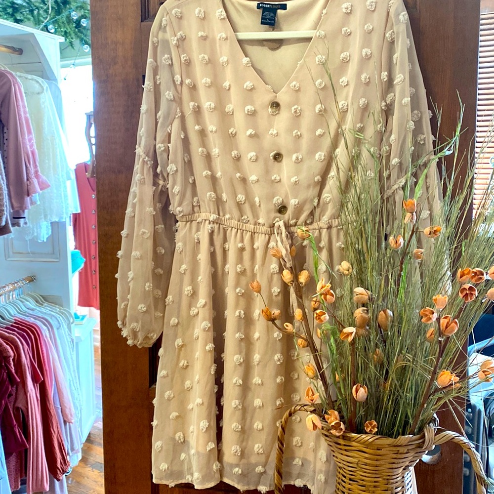 Cinched waist sheer dress w/ buttons